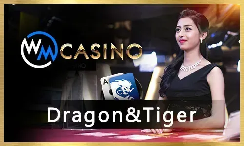 Live Casino Tips